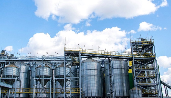 Новый завод по производству рыбных кормов в Балашовском районе: перспективы и инвестиции