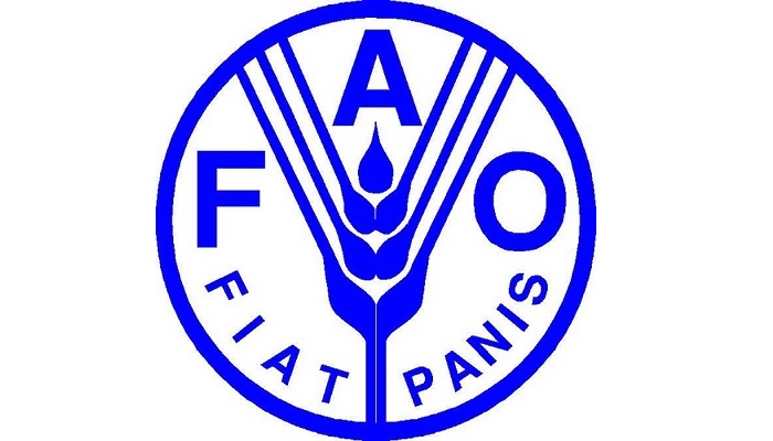 FAO: сохраняющаяся инфляция и неопределенность в торговой политике ухудшают перспективы мирово...