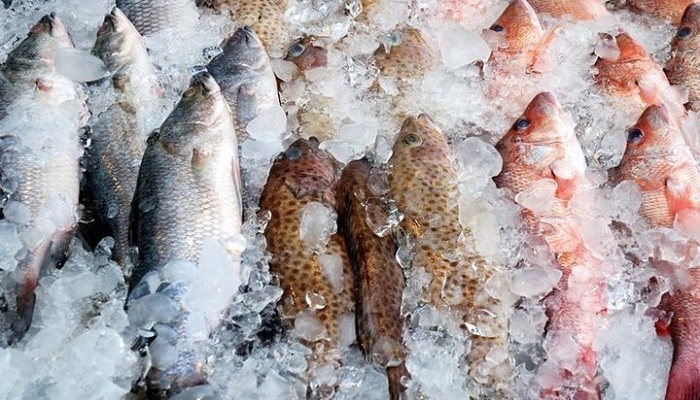 Новый морозильный логистический центр для рыбопродукции в Томске