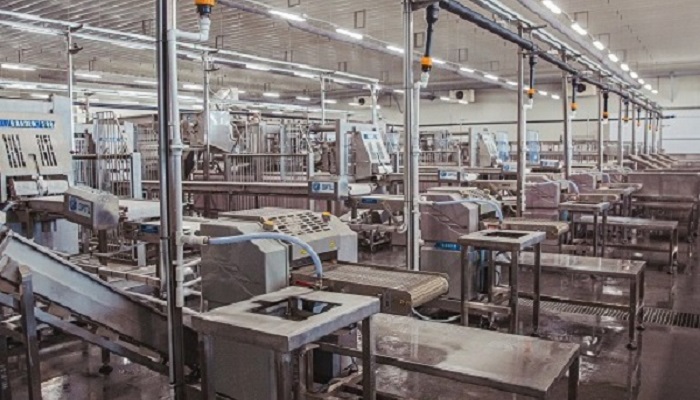 Развитие рыбопереработки в Приморском крае: новые горизонты до 2029 года