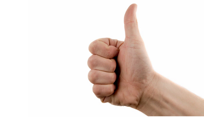 Безотходная переработка рыбы: новый этап в развитии рыбной отрасли России